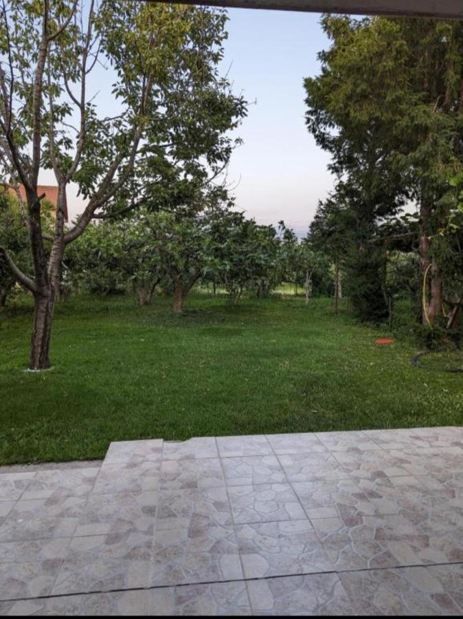 Apartment Filipovic Podgorica Zewnętrze zdjęcie